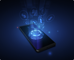 The Choice and Integration of Payment Systems